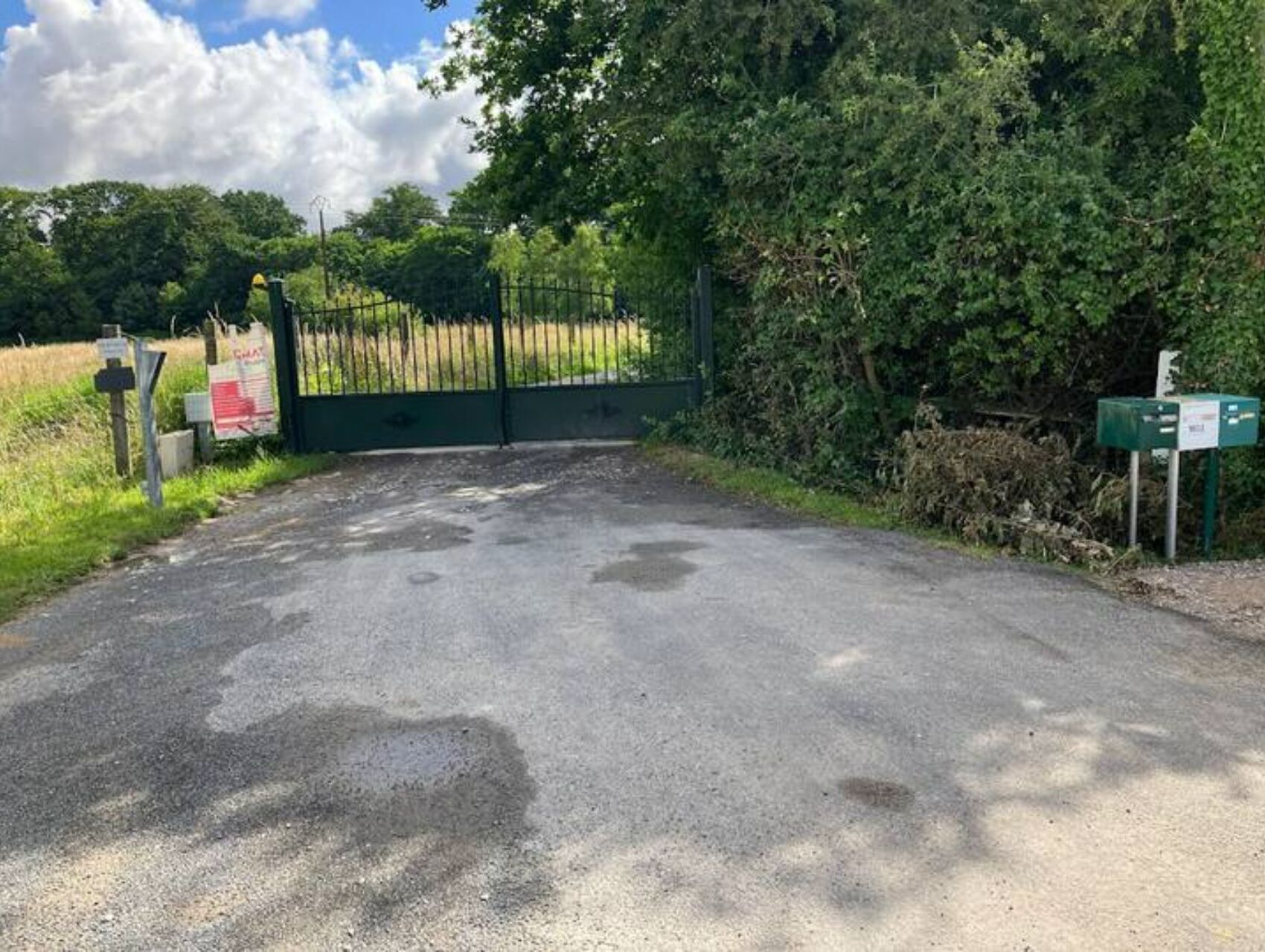A gated entrance with a metal gate, a concrete path, and greenery on both sides.