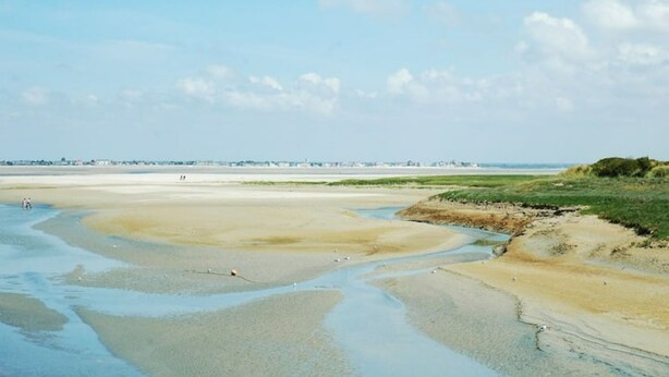 Una playa extensa con dunas suaves y un cielo despejado.
