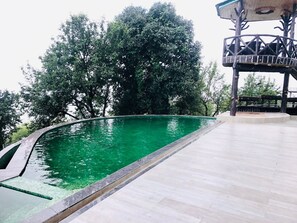 Outdoor pool - Katson Castle Dharamshala (Dharamshala)