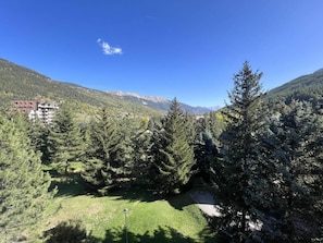 A mountainous landscape with dense evergreen trees and a building in the background.