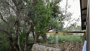 A stone wall with a hanging lantern, a wooden fence, and a concrete pathway. - Grace of Africa (Nkomazi)