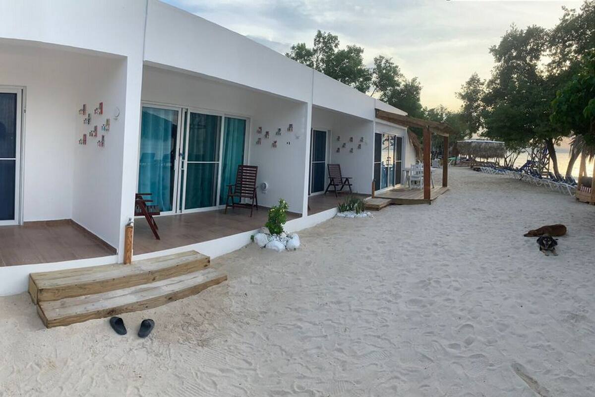 A modern beach house with a covered patio, a small garden, and a sandy beach area.