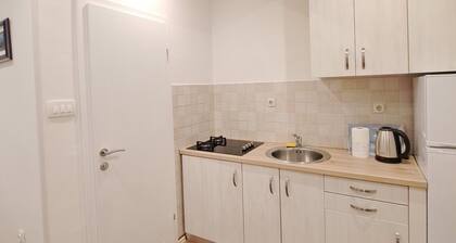 Studio Leo Apartment