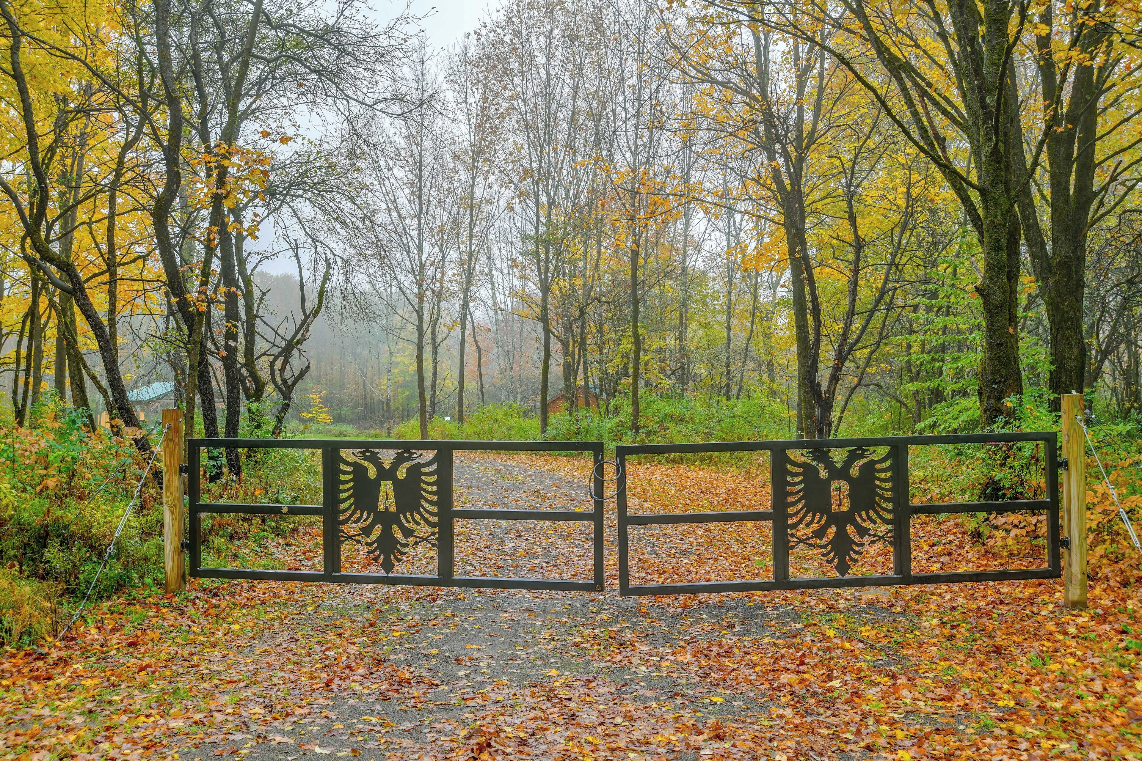 Un sentier forestier avec une barrière métallique ornée d’un motif d’oiseau, entouré d’arbres aux feuilles d’automne.