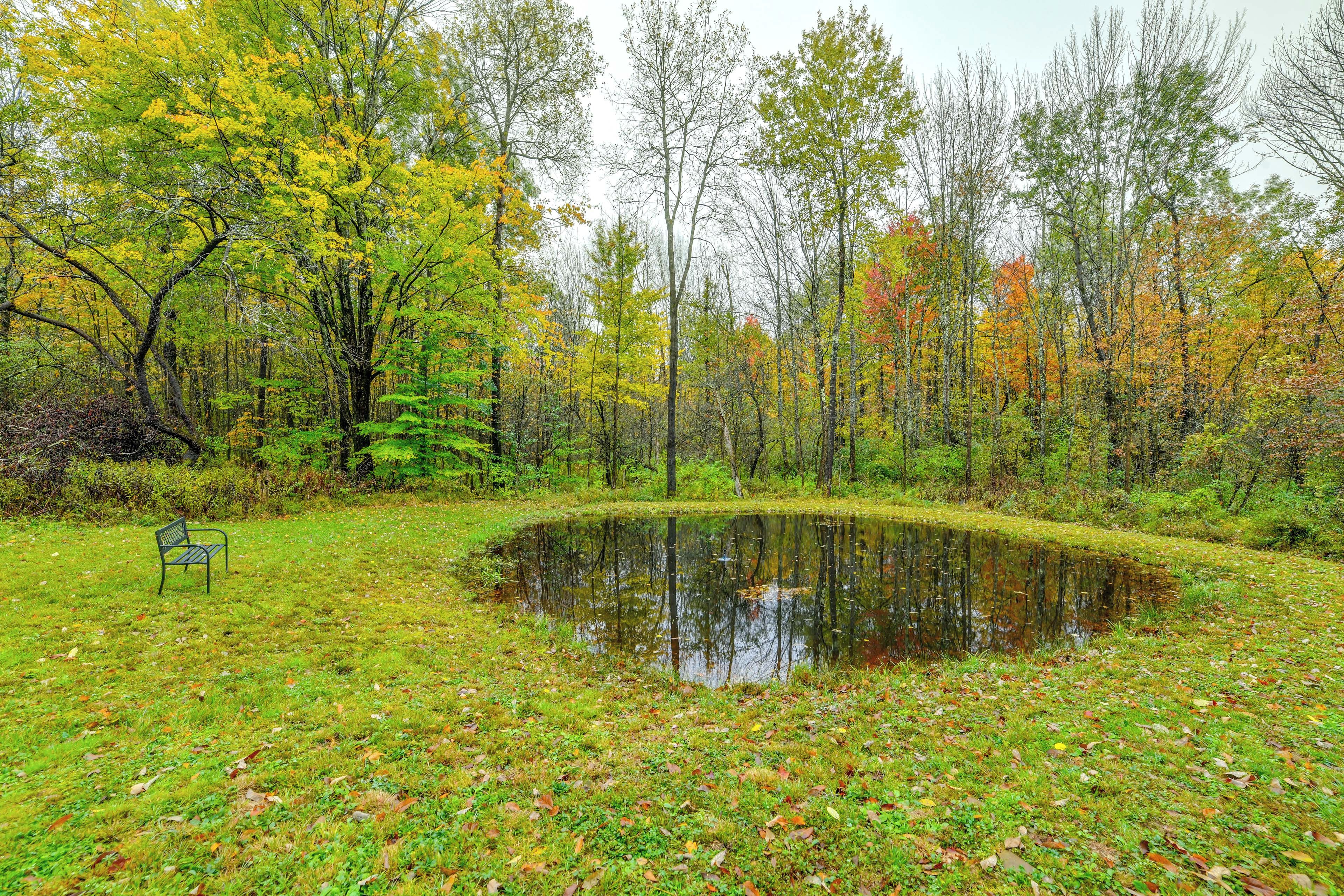 A serene pond surrounded by trees with autumn foliage, a bench, and a grassy area.