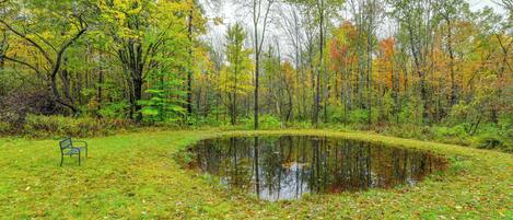 A serene pond surrounded by trees with autumn foliage, a bench, and a grassy area.