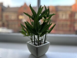 Apartamento | Detalhe da parte interna