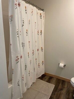 Hair dryer, towels, soap, toilet paper - Downtown Fargo- Historical Building- Pet Friendly! (Fargo)