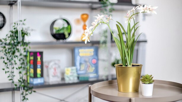 A round table with a gold vase containing white flowers and a small potted plant. - GuestReady - Urban Comfort near Wembley Stadium (London)