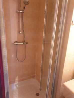 Shower, hair dryer, toilet paper
