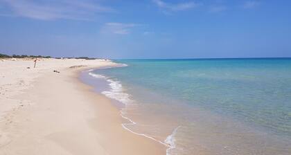 Dar louzir Ă Tazarka