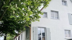 Un edificio blanco de dos pisos con contraventanas verdes, un ventanal visible y un árbol con flores colgantes en primer plano.