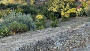A dry, rocky landscape with sparse vegetation and a few trees. - Beautiful 3 Bedr House in Arakapas With Fireplace (Arakapas)