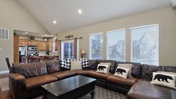 TV connectée, cheminée, jeux vidéo, lecteur de DVD