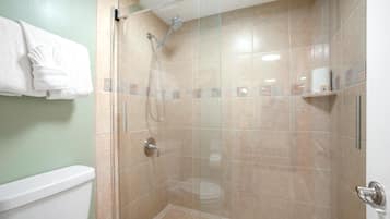 Une cabine de douche fermée par des parois en verre, avec des toilettes et un porte-serviettes.