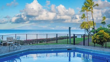Une piscine avec vue sur l’océan, un espace clos avec des chaises et des palmiers.
