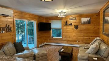 Smart TV, fireplace, books