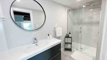 Shower, hair dryer, towels, shampoo