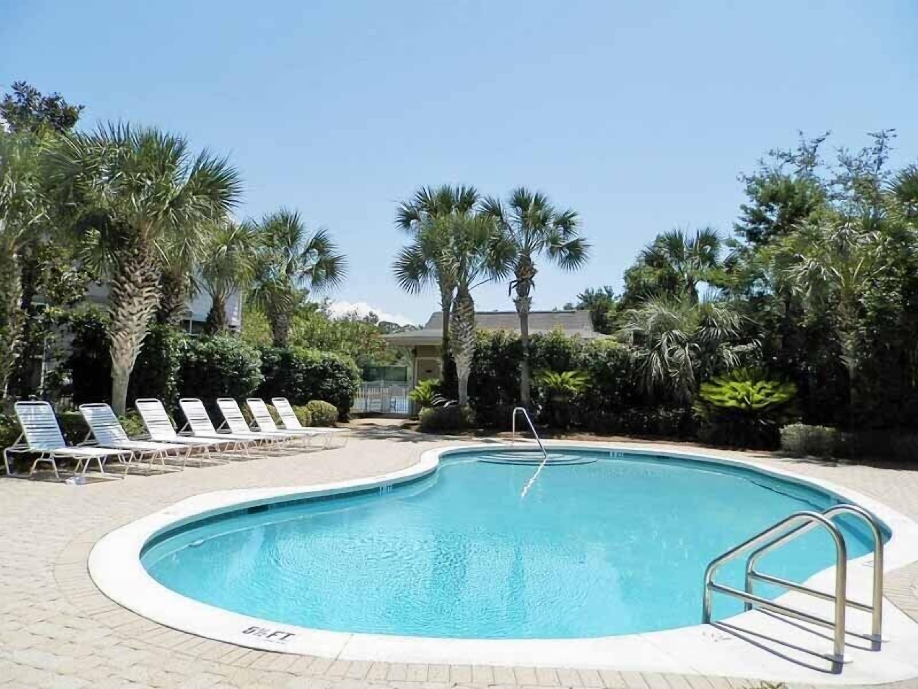 A swimming pool with lounge chairs and palm trees.