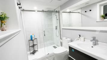 Shower, hair dryer, towels, shampoo