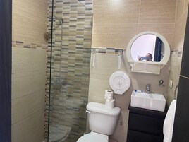 A bathroom with a glass shower enclosure, a toilet, a sink, and a mirror.