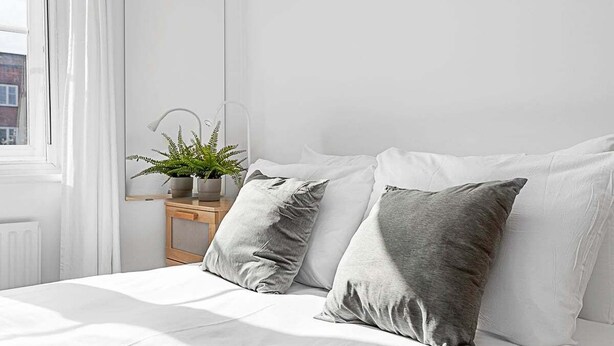 A bedroom with a bed, grey pillows, a bedside plant, and a nightstand with a lamp. - Beautiful Three-bedroom House in Richmond (Richmond)