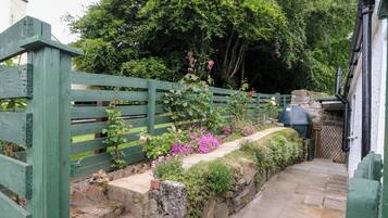 Khuôn viên nơi lưu trú