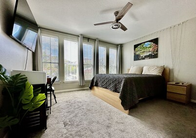 Longhorn Nights in Austin, stay with us for UT Football, F1, ACL, SXSW & BBQ !