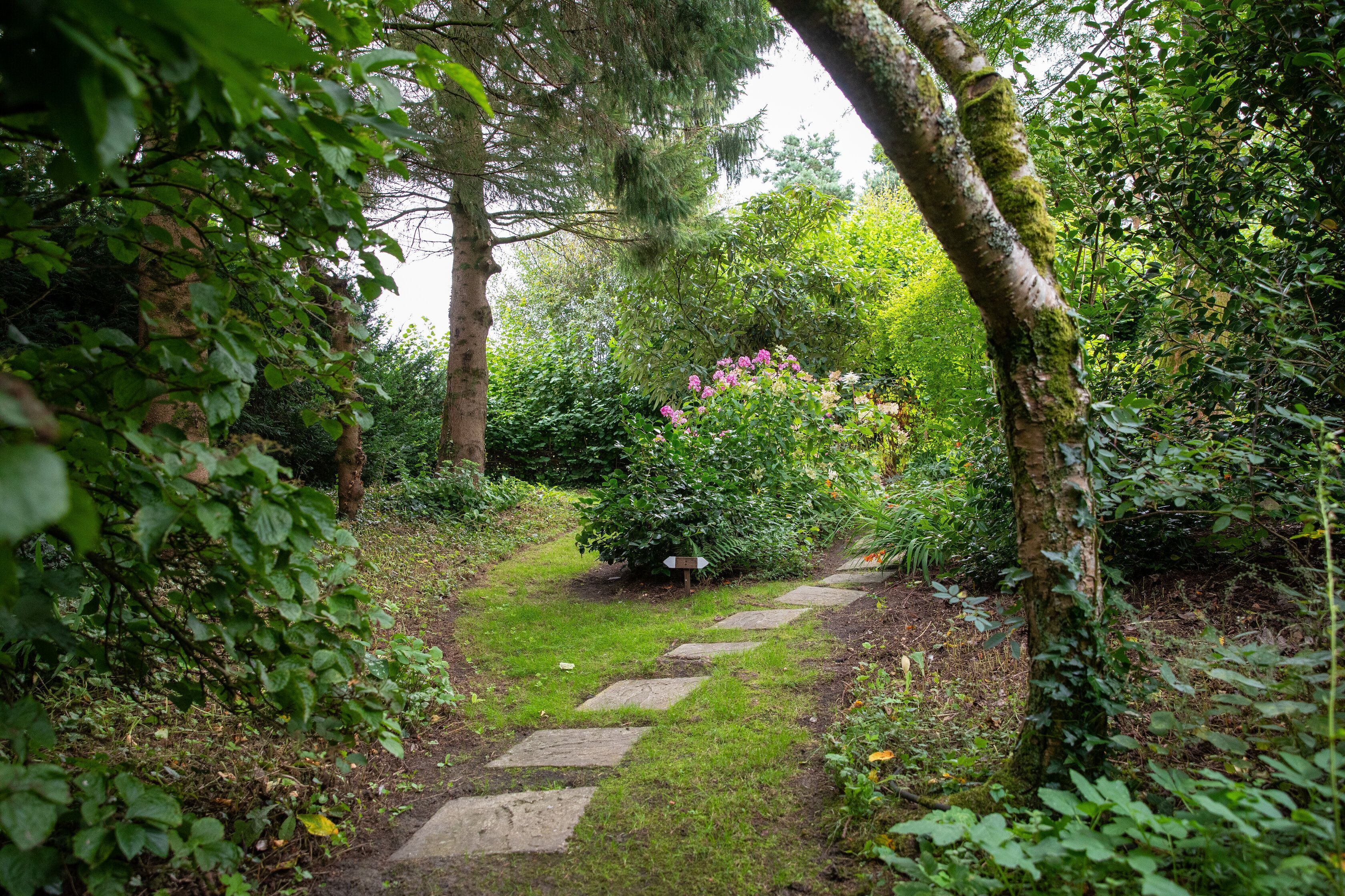 Un sentier de pierres serpente à travers un jardin luxuriant, où la végétation est dense et un tronc d’arbre est recouvert de mousse.