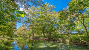 A serene river surrounded by lush greenery and trees.