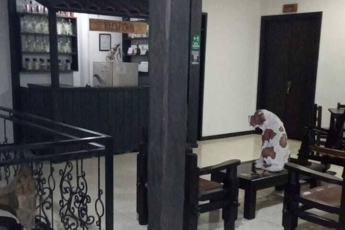 منطقة المعيشة