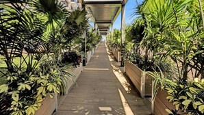 A covered walkway lined with planters containing various tropical plants. - Cozy Beachfront 2 BDR Miami Beach Condo 406 (Miami Beach)