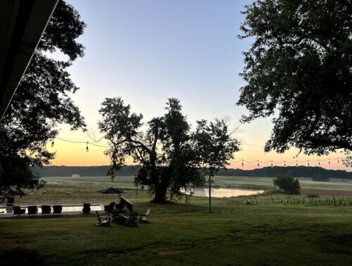 A Farm with a Vineyard View

