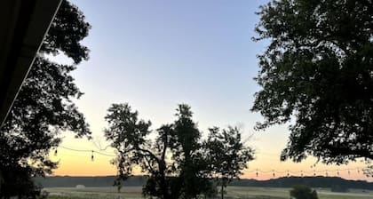 A Farm with a Vineyard View