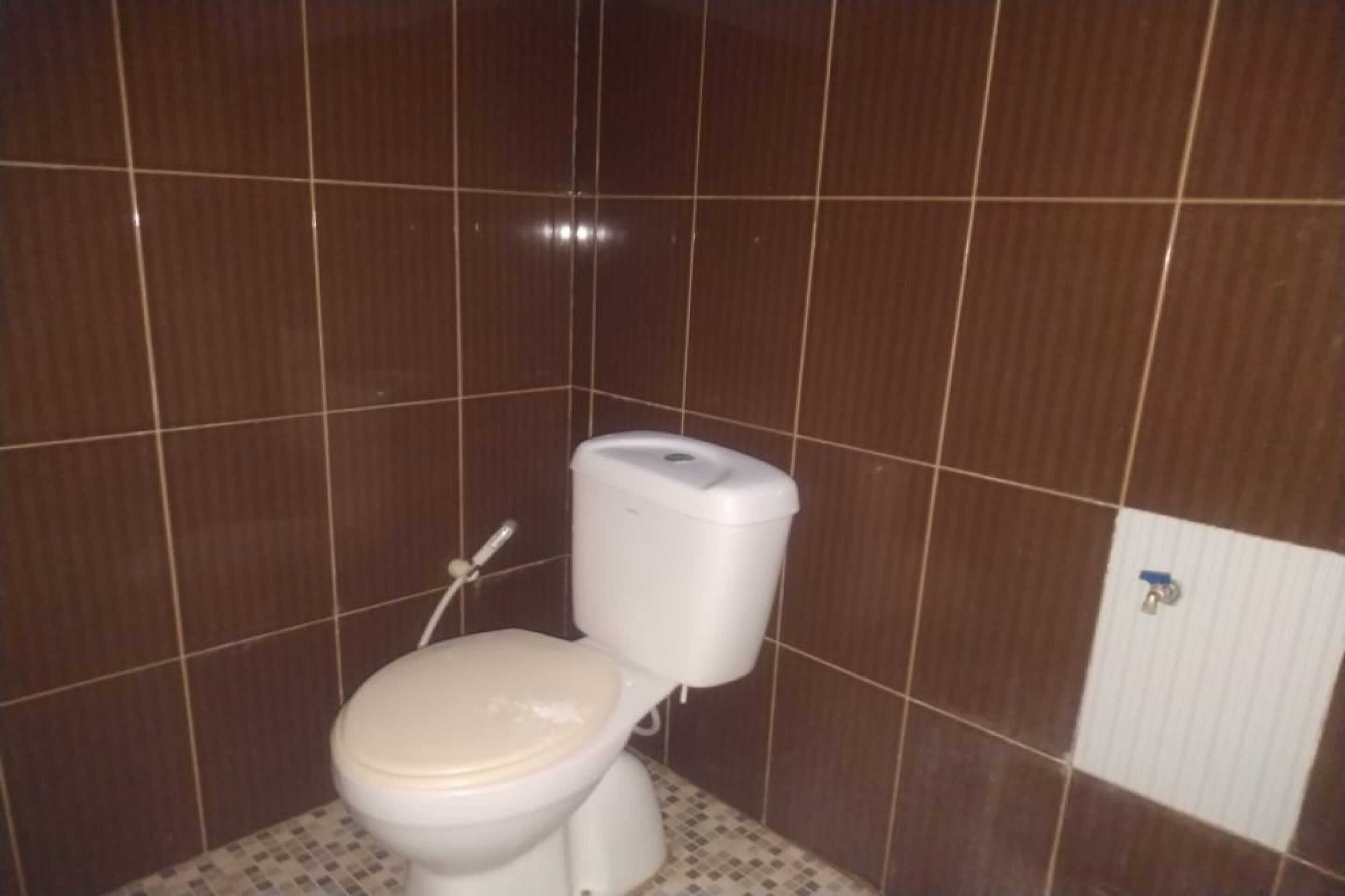 Casa de banho com sanita, bidé e parede revestida a azulejos.