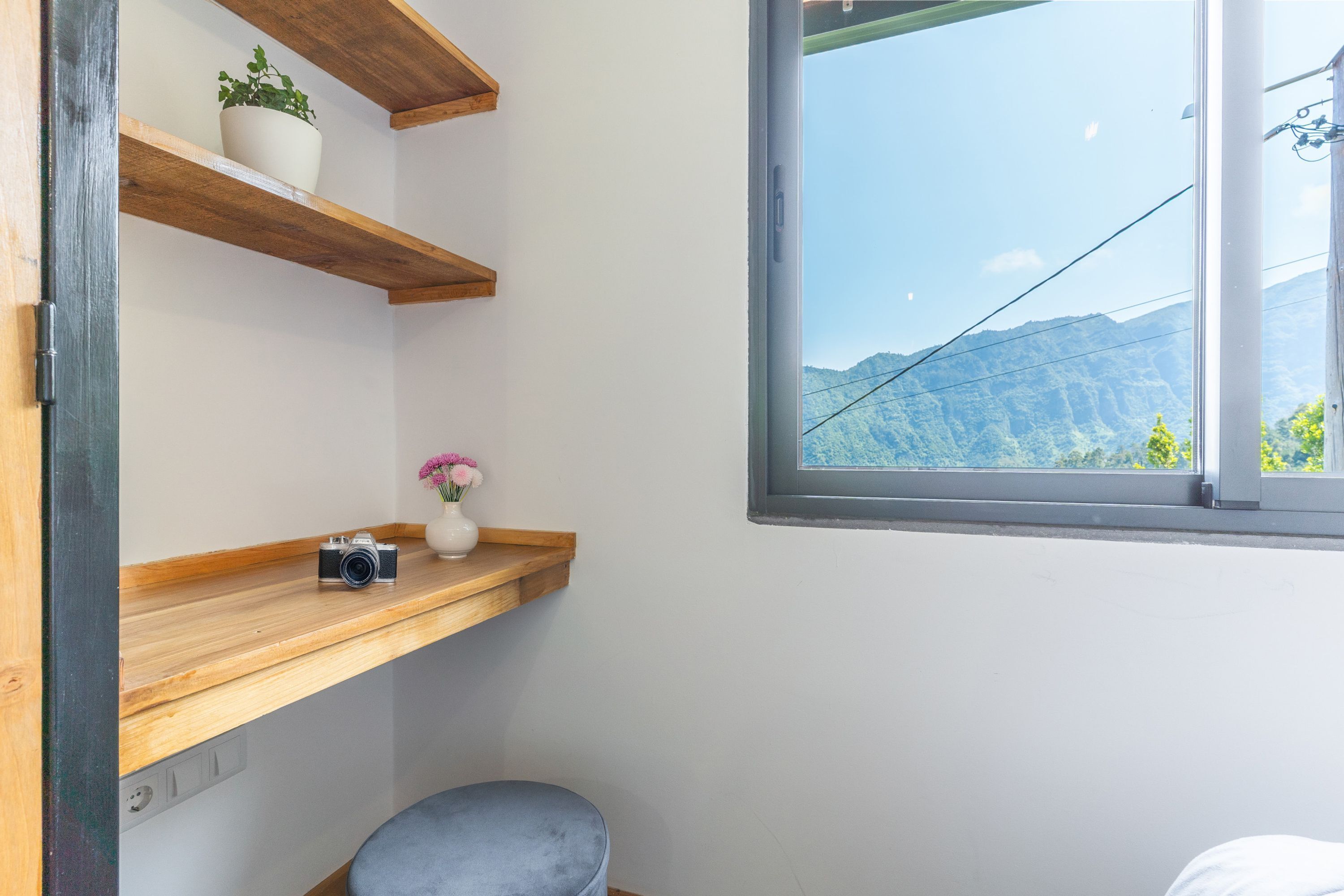 A room with wooden shelves, a camera, a vase with flowers, and a window with a mountain view.