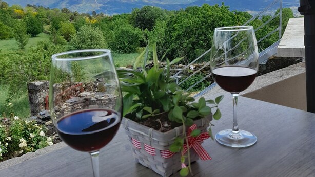 Twee wijnglazen op een tafel, met uitzicht op een wijngaard en bergen op de achtergrond.