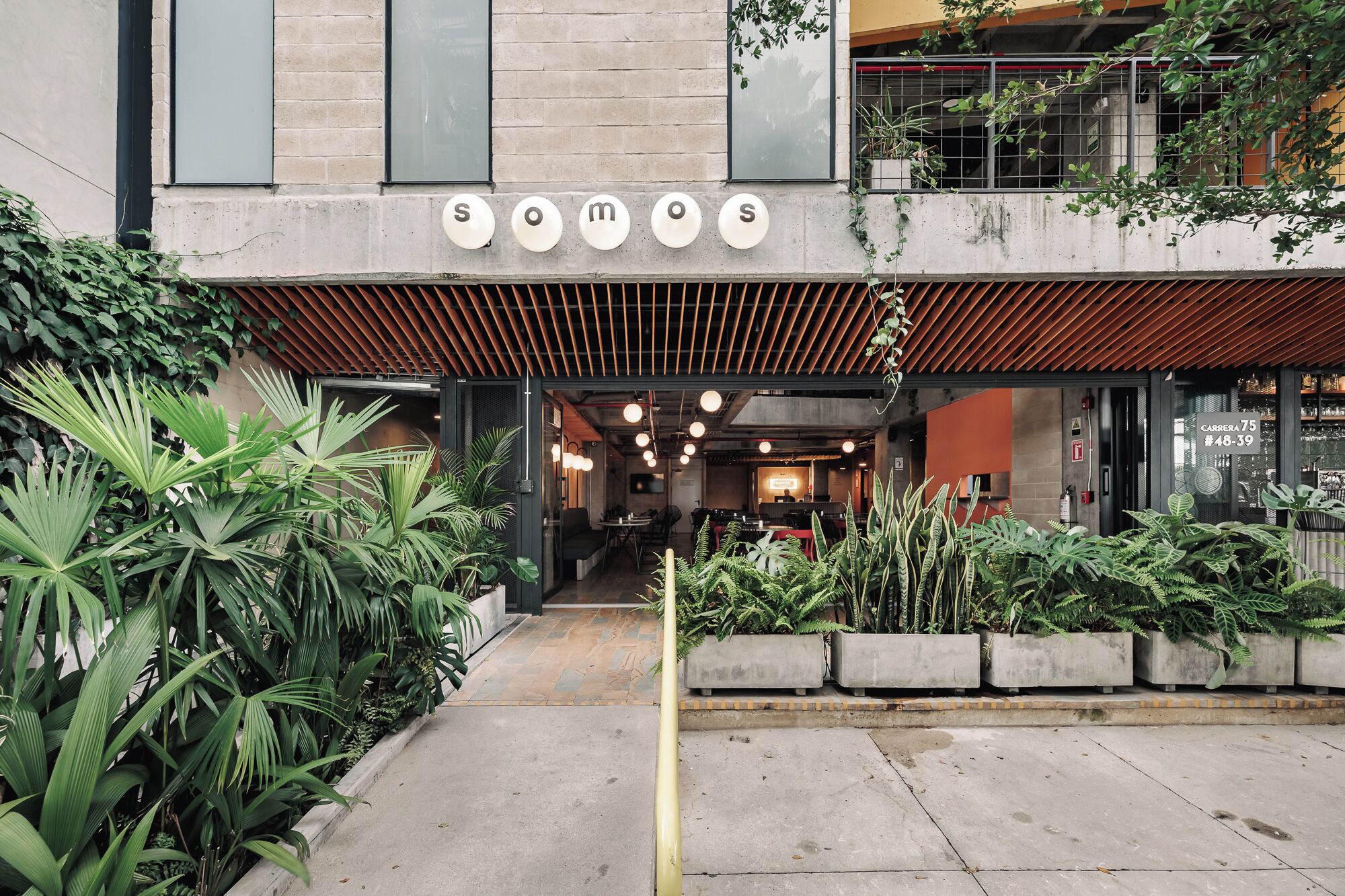 Un ristorante dal design moderno, con facciata in cemento, soffitto in legno e diverse piante da interno.