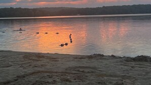 En strand med et roligt hav og en solnedgang.