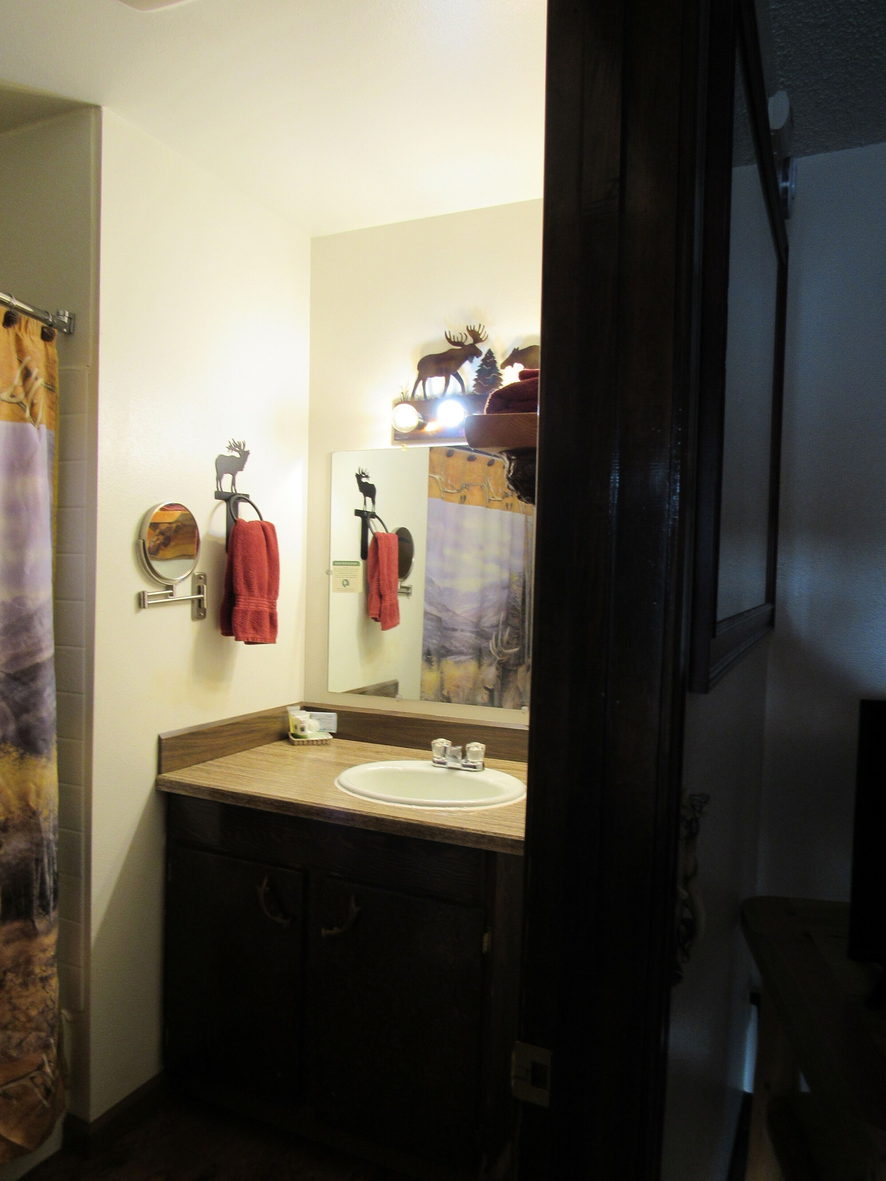 A bathroom with a sink, mirror, and a towel rack.