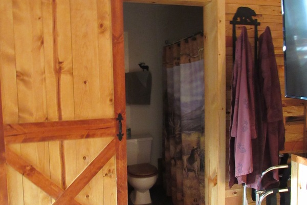 Deluxe Suite | Free WiFi, bed sheets