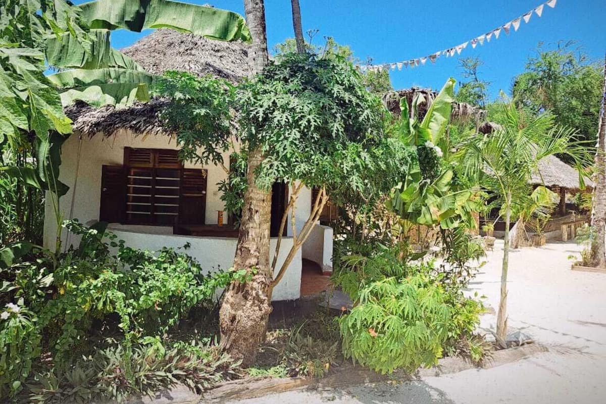 A traditional house with a thatched roof, surrounded by lush greenery and a clear blue sky.