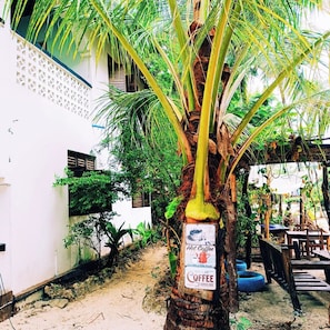 Exterior - Furaha Lodge (Jambiani)