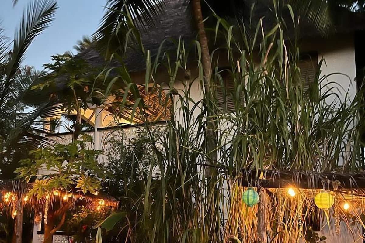 A tropical outdoor seating area with wooden lounge chairs, a thatched-roof structure, and string lights.