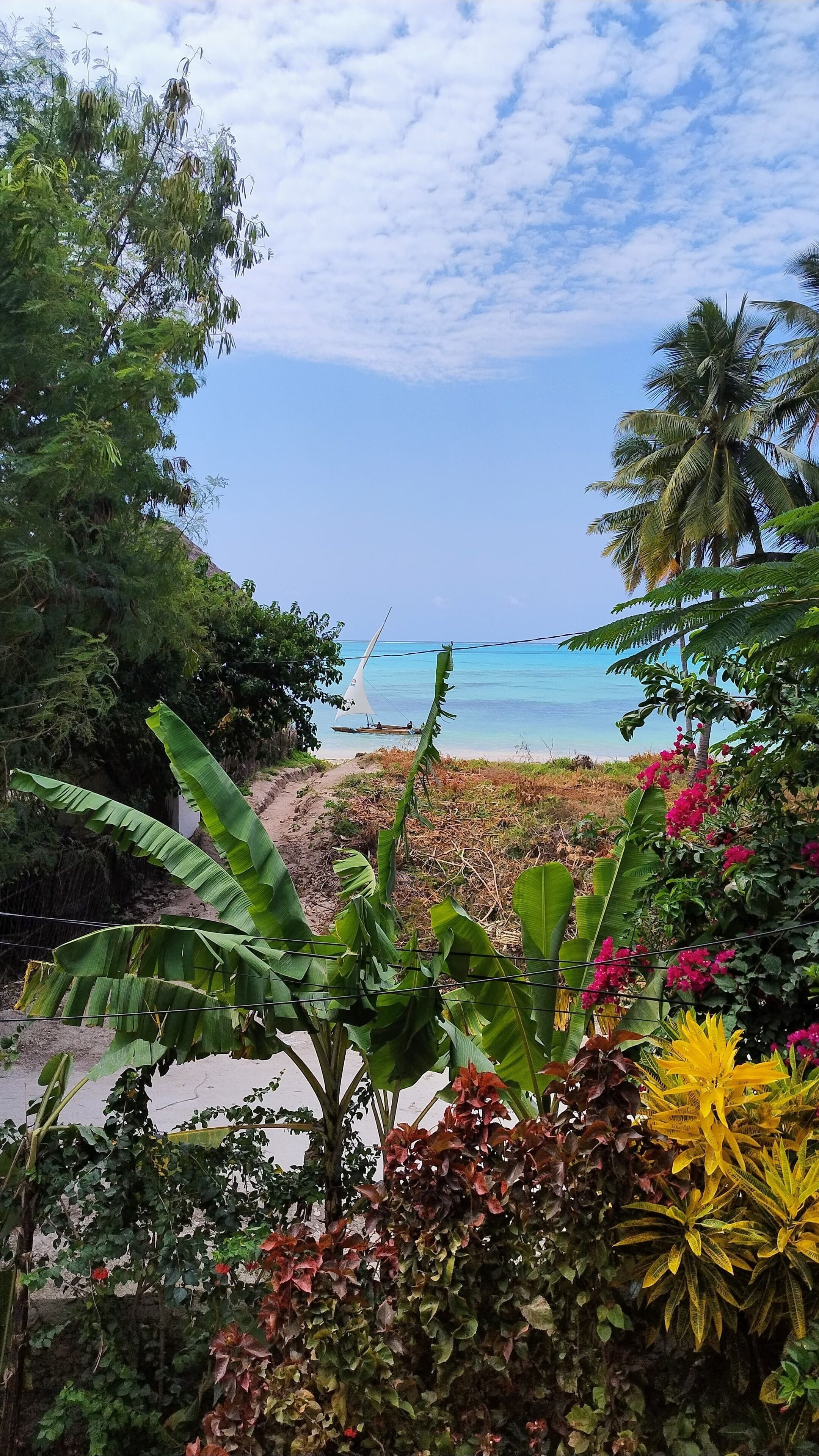 Una playa tropical con exuberante vegetación y una vista despejada del océano.