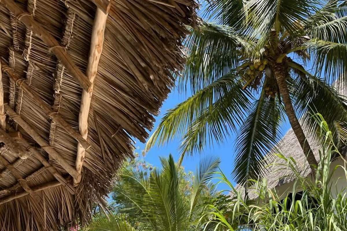 A beachside area with thatched umbrellas, lounge chairs, and palm trees.
