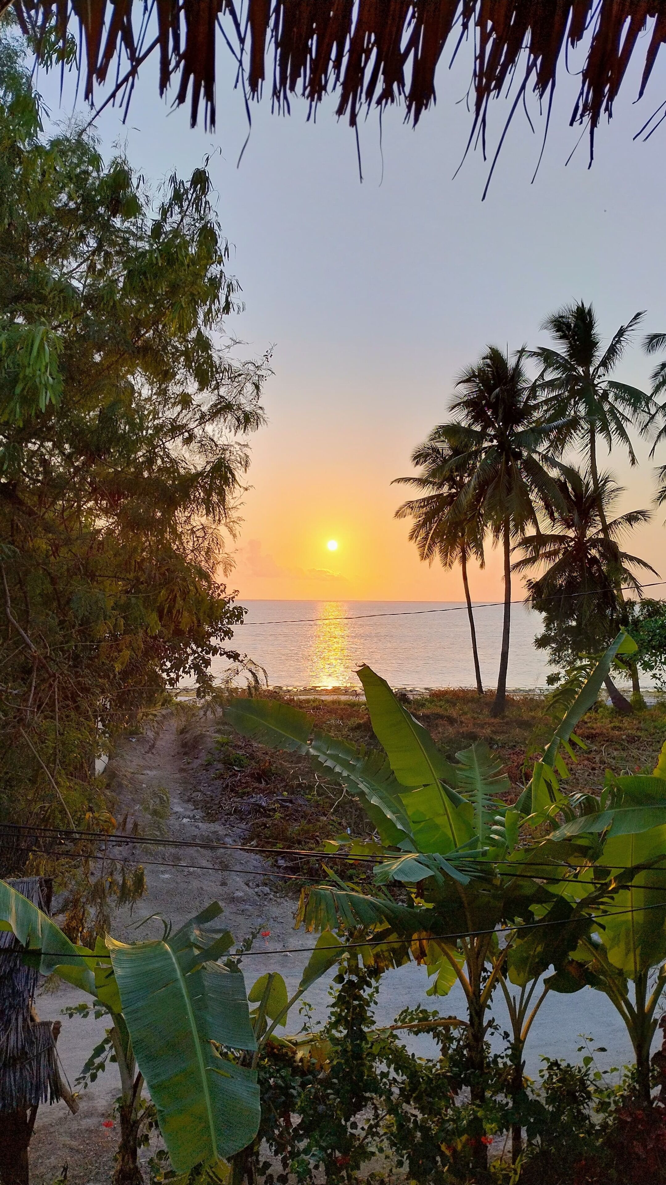 A sunset view over a beach with palm trees and tropical vegetation.