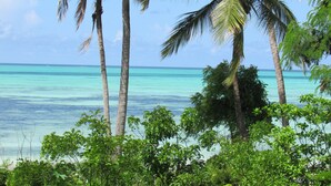 Uma praia tropical com palmeiras e vegetação densa em primeiro plano.