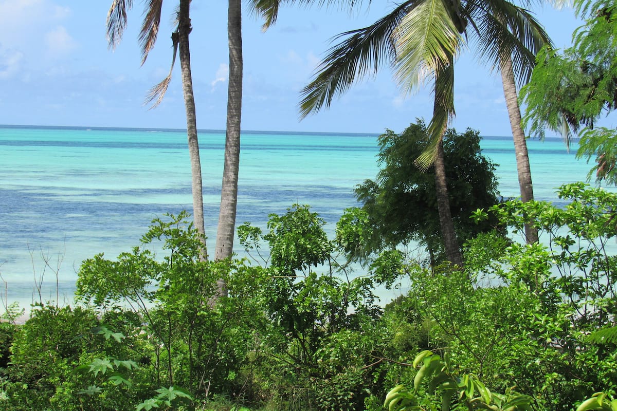 A tropical beach with palm trees and dense greenery in the foreground.