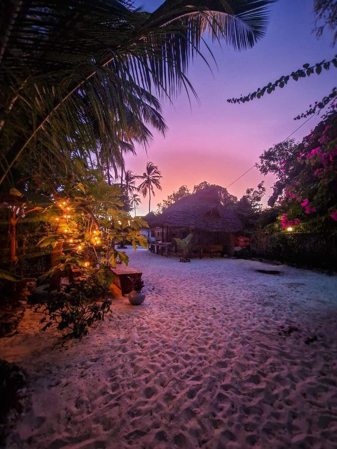 Ein Strandbereich mit Palmen, einer strohgedeckten Hütte und Lichterketten.